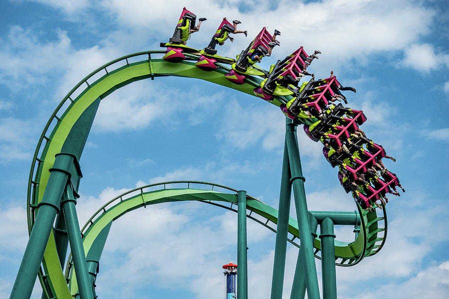 Raptor